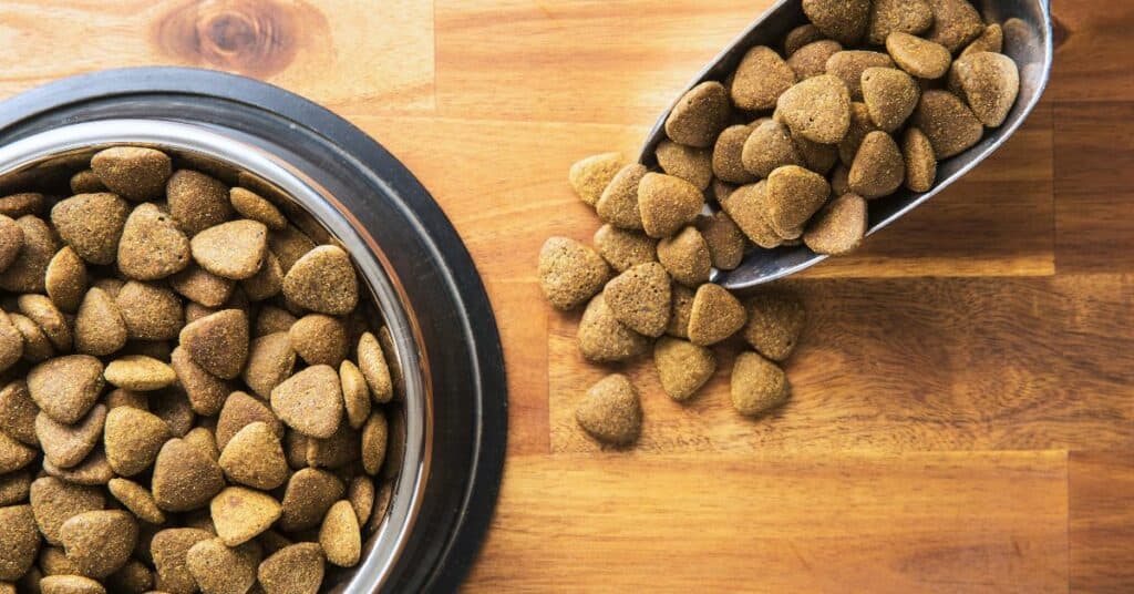 best dog food for older dogs