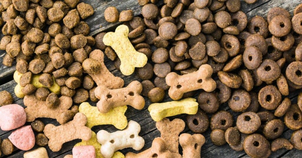 best dog food for older dogs