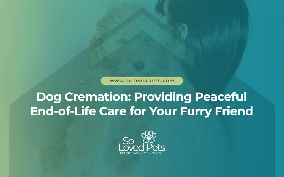 Dog Cremation: Providing Peaceful End-of-Life Care for Your Furry Friend