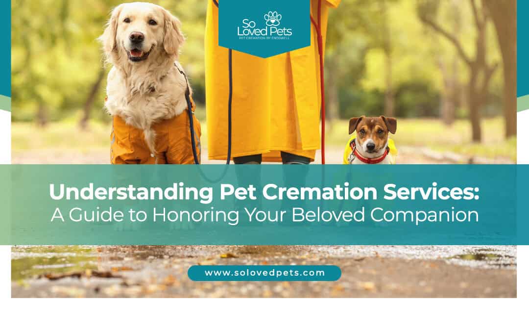 Understanding Pet Cremation Services: Honoring Your Beloved Companion