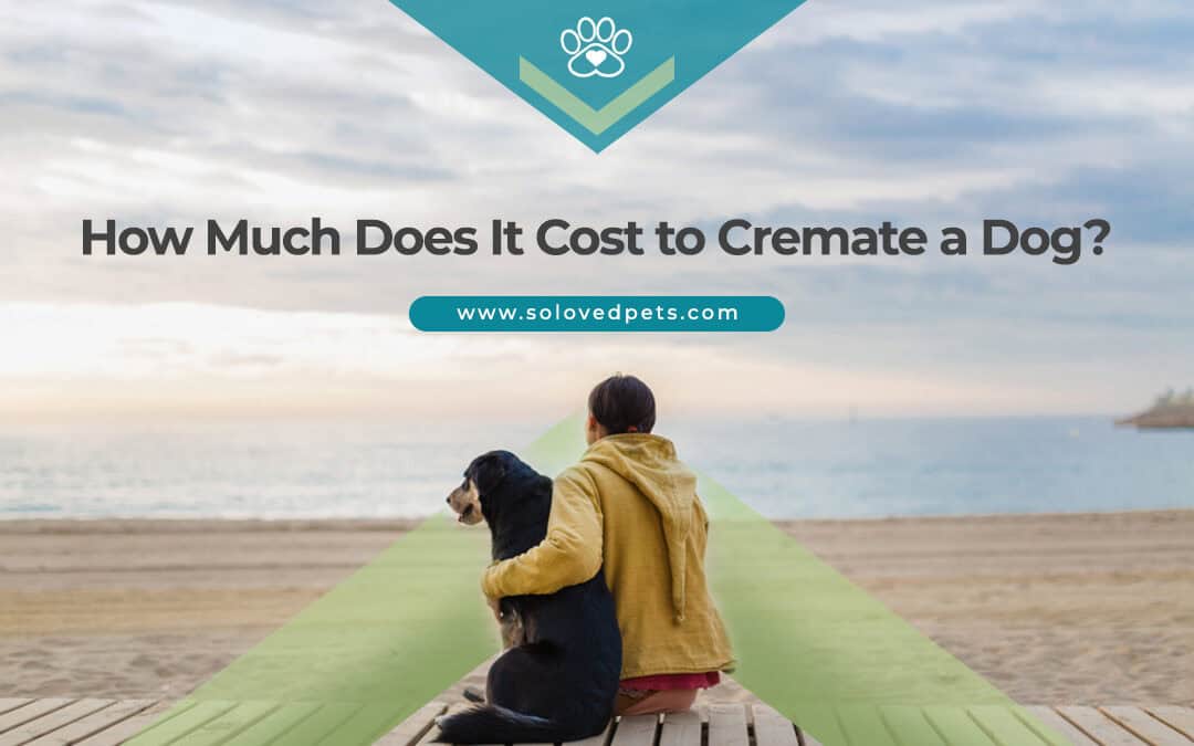 How Much Does It Cost to Cremate a Dog?