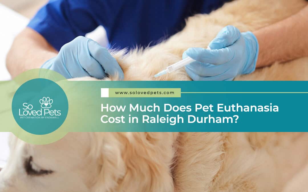 How Much Does Pet Euthanasia Cost in Raleigh Durham?