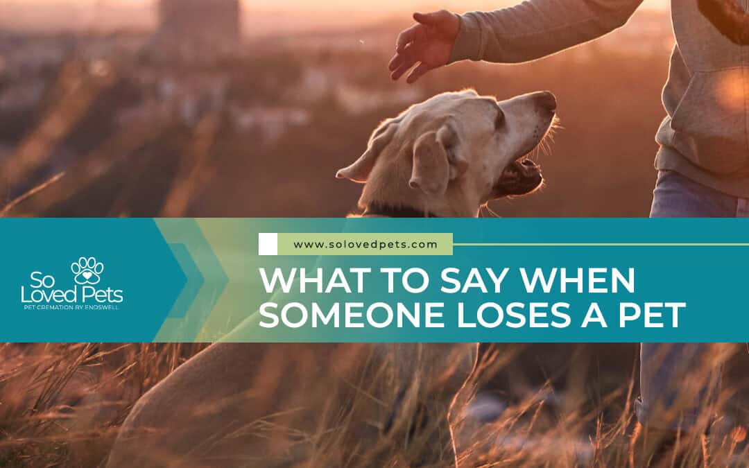 What to Say When Someone Loses a Pet