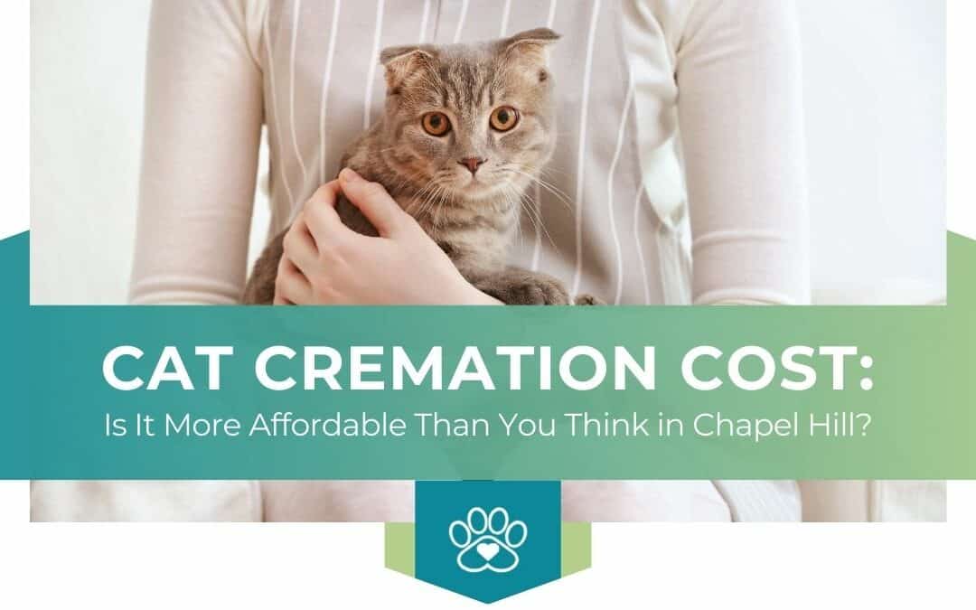 Cat Cremation Cost: More Affordable Than You Think in Chapel Hill?