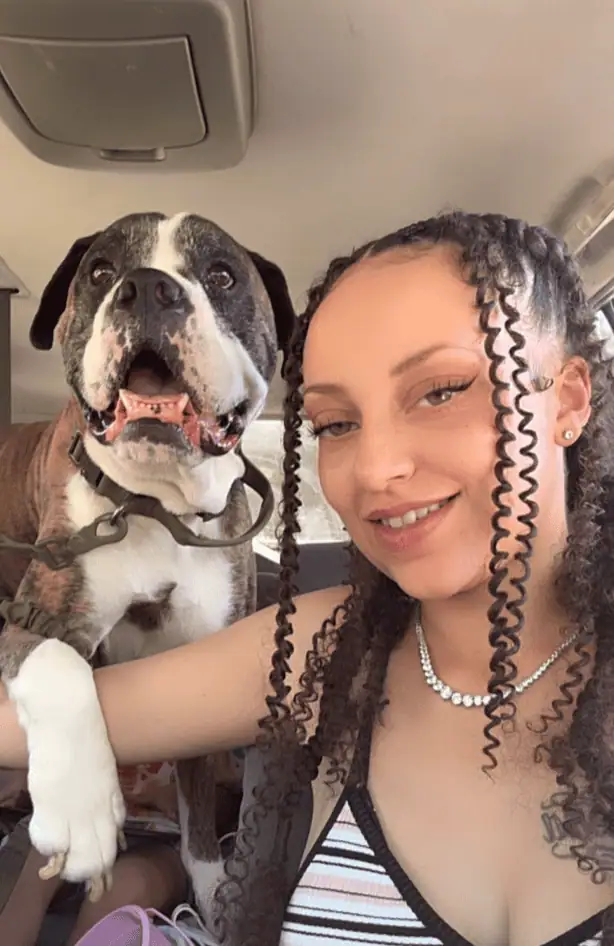 Celebrating the life of Boss Droup Boogie - So Loved Pets